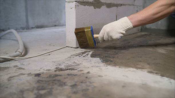 SJ Waterproofing Pros Waterproofing coverage map for Charleston, IL and surrounding area